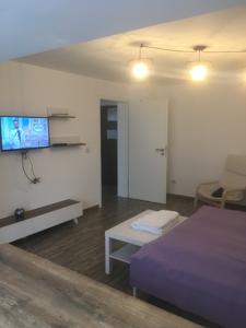 BSV Accomodation Timișoara